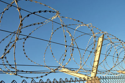 Image of 'The Senate approved the reduction of sentences for prisoners who read books.'