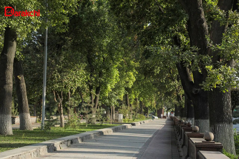 Image of ''