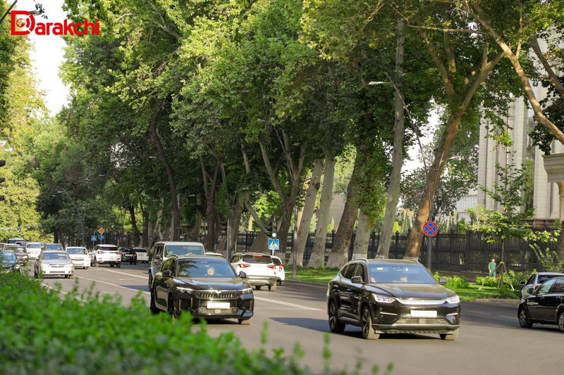 Изрображение 'В Узбекистане разрешат именные автомобильные номера'
