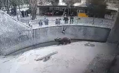 Image of 'A 7-year-old girl in Tashkent was stabbed to death by her mother.'