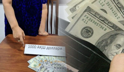 'Қорақалпоғистон ва Қашқадарёда ишга жойлаштириш билан боғлиқ фирибгарликлар фош этилди'ning rasmi