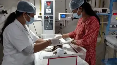 'Hindistonda chorvador 20 kunlik chaqaloqni tiriklayin ko‘milgan holda topdi'ning rasmi