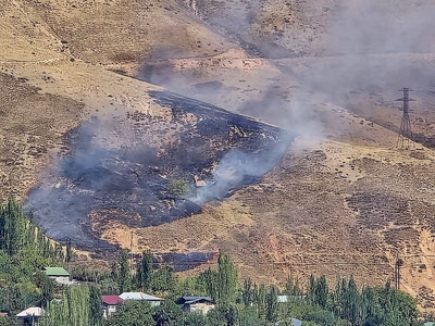 Изрображение 'В лесном хозяйстве Бостанлыка произошел пожар'