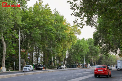 Изрображение 'В Ташкенте сегодня до +26'