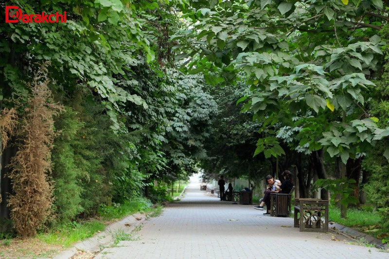Изрображение 'В Ташкенте сегодня +30'