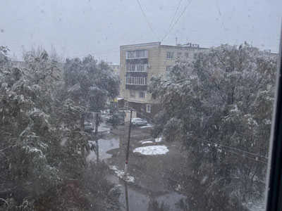 Image of 'The first snow fell in the Kostanay region of Kazakhstan.'