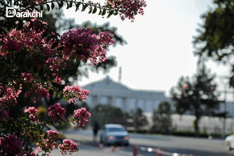 Image of 'What will change in Uzbekistan from tomorrow?'