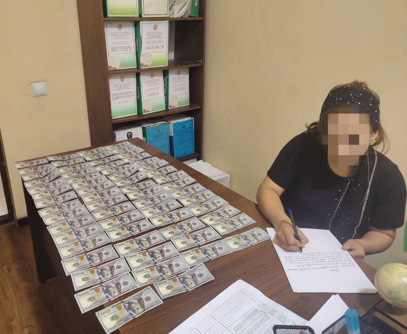 Image of 'In Andijan, a parent pays 6,200 dollars in alimony for one child.'