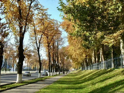Изрображение 'В Узбекистан с 18 октября вторгнется прохладная воздушная масса с северо-запада'