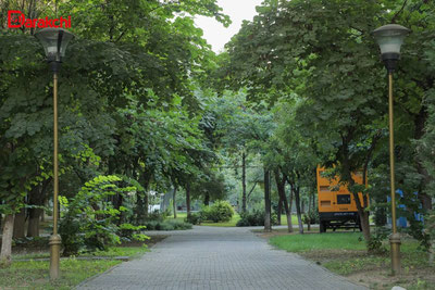 Image of ''