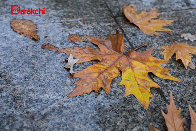 Image of 'What was the temperature said to be today?'