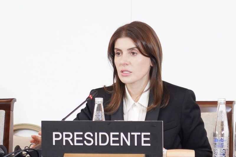 Image of 'How did the 12th meeting of the UNESCO National Commissions go? (Photo)'