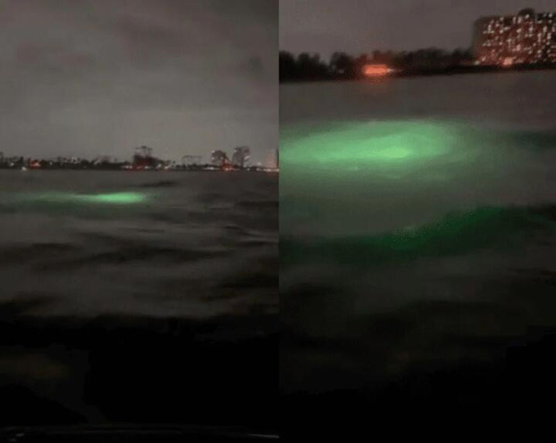 Изрображение 'У побережья США с 2022 года зафиксировали тысячи загадочных подводных объектов'