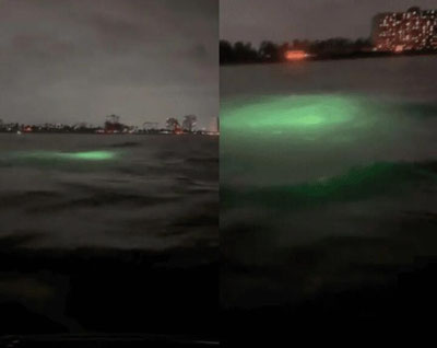 Изрображение 'У побережья США с 2022 года зафиксировали тысячи загадочных подводных объектов'