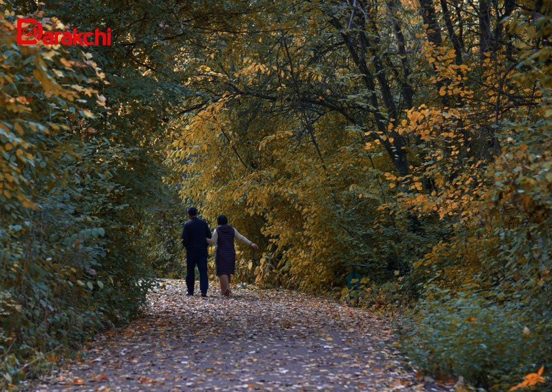 Изрображение 'В Ташкенте сегодня днем потеплеет до +25'