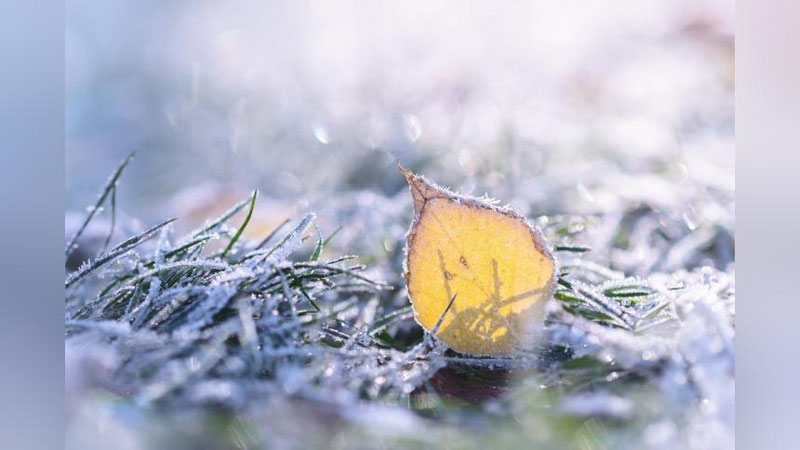 Изрображение 'Узгидромет предупредил о надвигающемся похолодании'