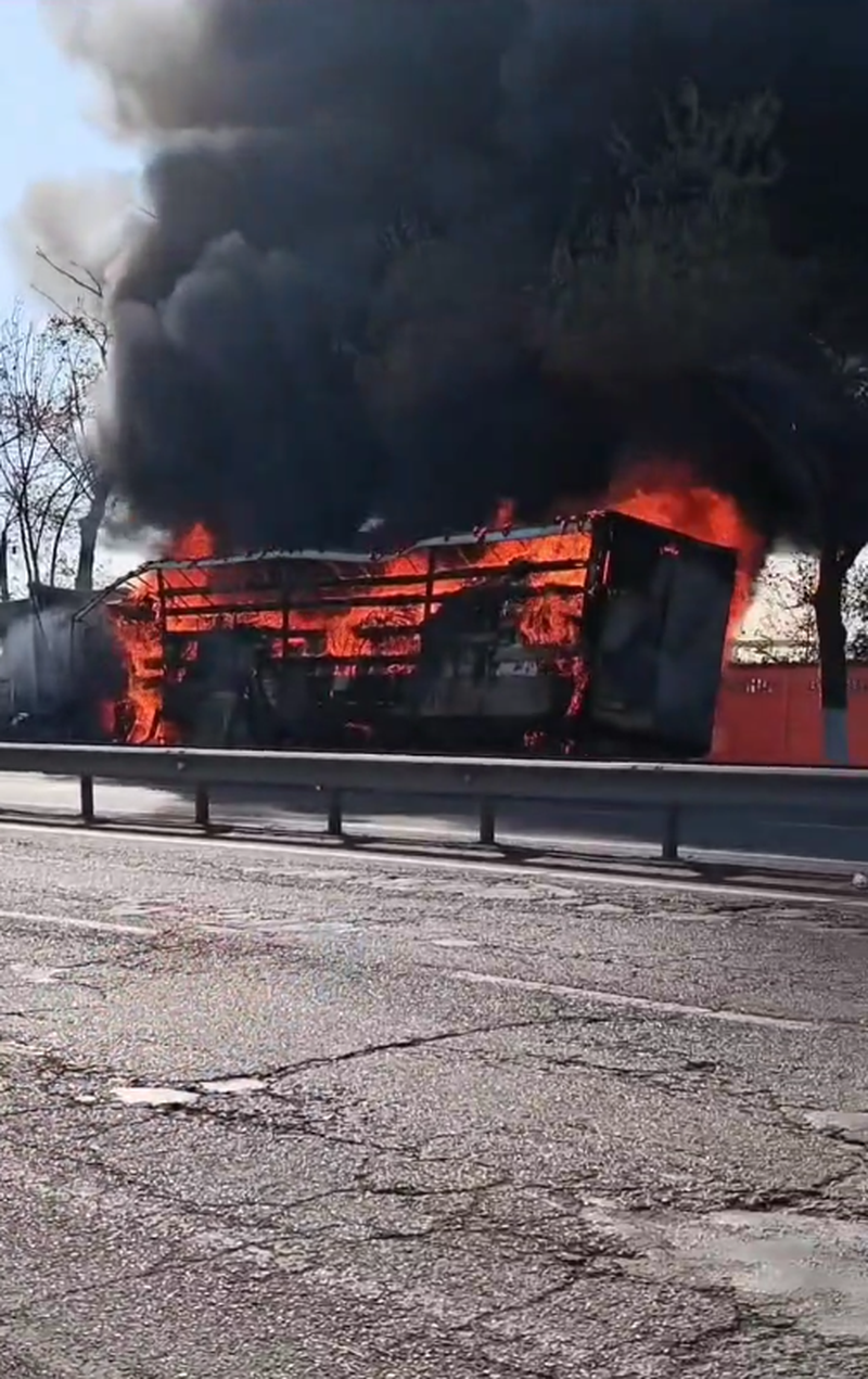 Изрображение 'На трассе в Сырдарьинской области сгорел грузовик (видео)'