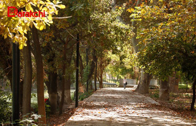 Изрображение 'Синоптики рассказали о рекордах погоды в ноябре в Узбекистане'