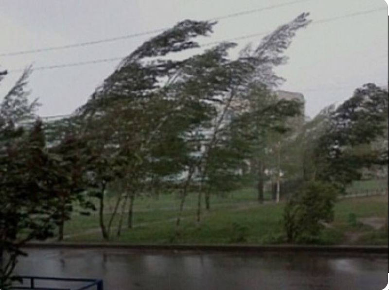 'Тошкентда кучли шамол кутилмоқда'ning rasmi