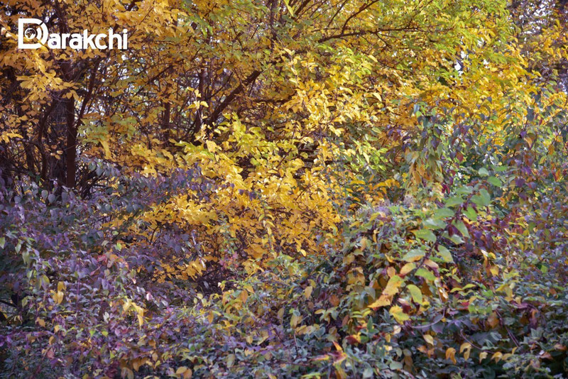 Изрображение 'Выходные в Узбекистане будут немного прохладными'