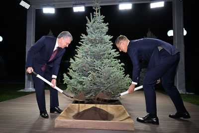 'Мирзиёев ва Александр Стубб биргаликда дарахт экишди'ning rasmi