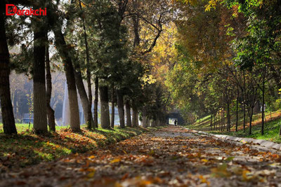 Изрображение 'В Ташкенте сегодня +18'