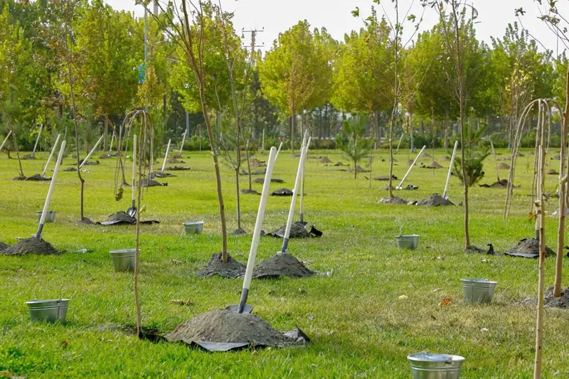 Изрображение 'Проект «Зелёный сад» реализуется в Самарканде в честь 80-летия ЮНЕСКО'