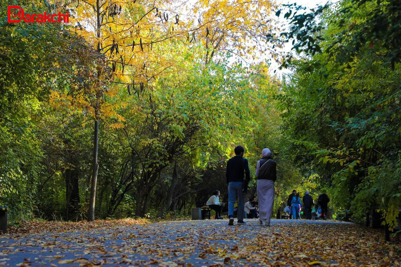 Изрображение 'В Ташкенте сегодня во второй половине дня дождь'