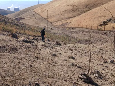 Изрображение 'В Ахангаране пресекли незаконную охоту на диких птиц'