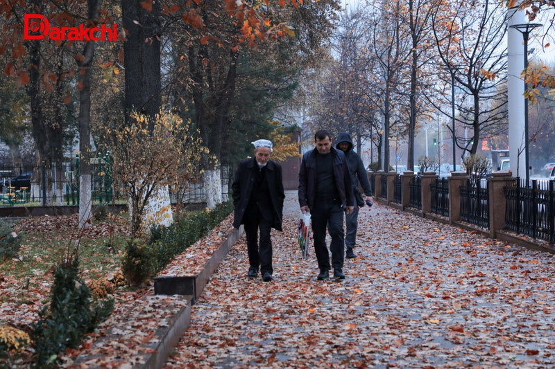 Изрображение 'В Ташкенте сегодня +7, дождь'