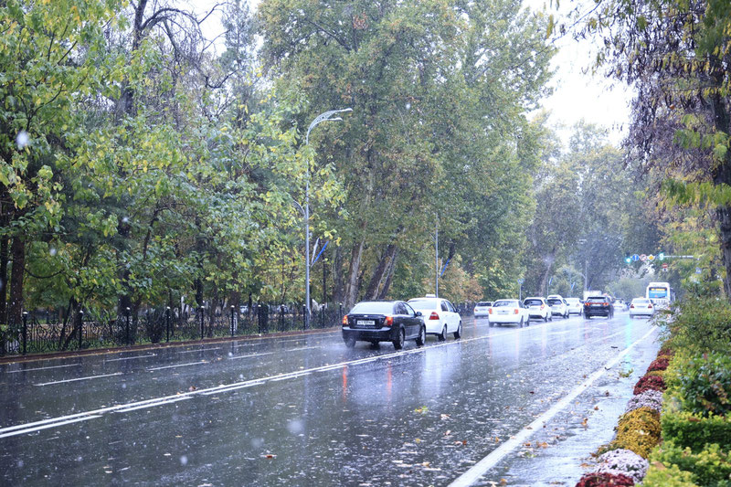 Изрображение 'Дождь, снег и сильное похолодание: сюрпризы погоды в ноябре в Узбекистане'