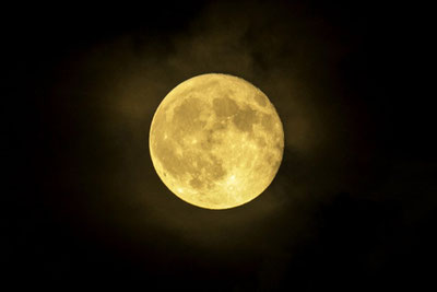 Изрображение 'Сегодня на небе можно будет наблюдать суперлуние'