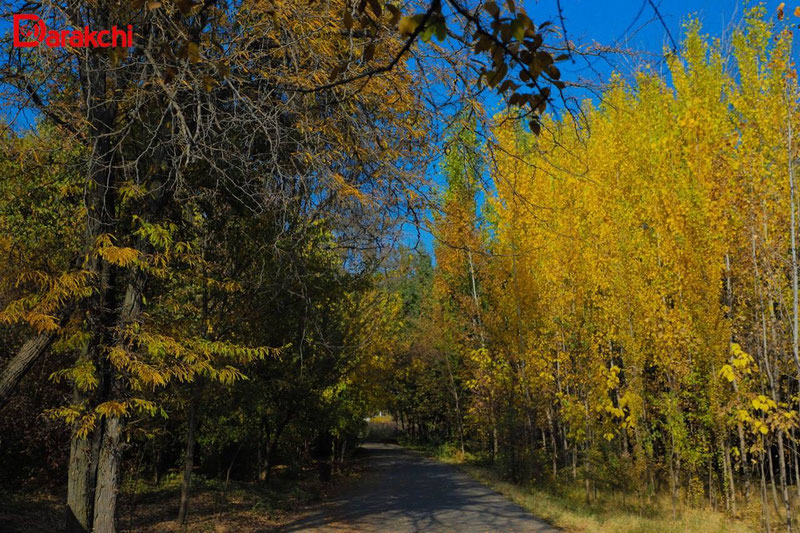 'Bugun ob-havo qanday bo‘ladi?'ning rasmi