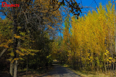 Image of 'What will the weather be like today?'