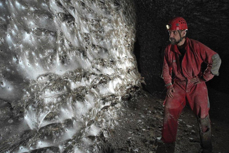 Изрображение 'Ученые обнаружили крупнейшую в мире паутину (видео)'