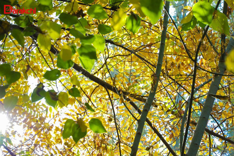 Изрображение 'В Ташкенте воздух прогреется до +12'