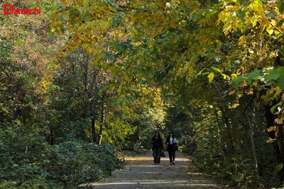 Изрображение 'В выходные дни в Узбекистане потеплеет до +16... +20'