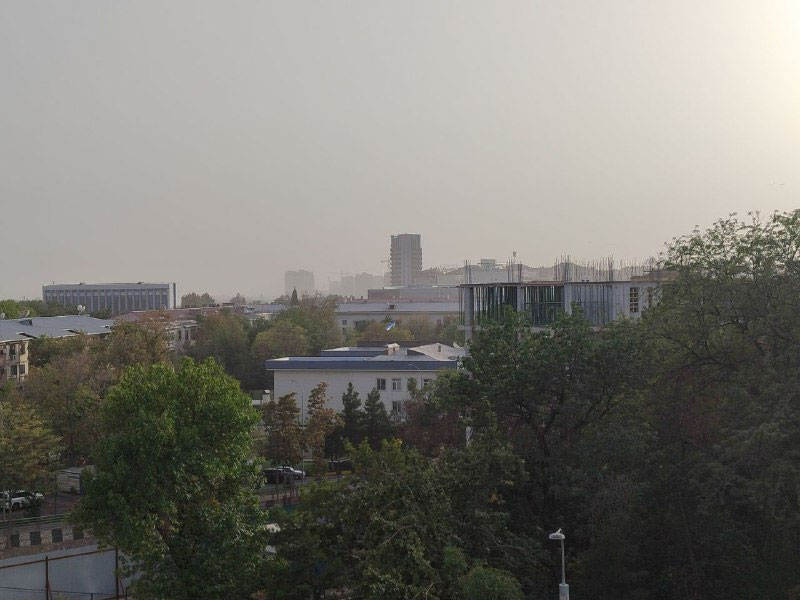 Изрображение 'Дышать воздухом в Ташкенте снова очень вредно для здоровья'