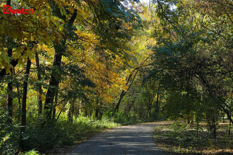 'Bugun qanday ob-havo bo‘ladi?'ning rasmi