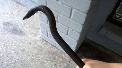 Изрображение 'В Самарканде вынесли приговор братьям, жестоко расправившимся с сестрой из-за наследства'