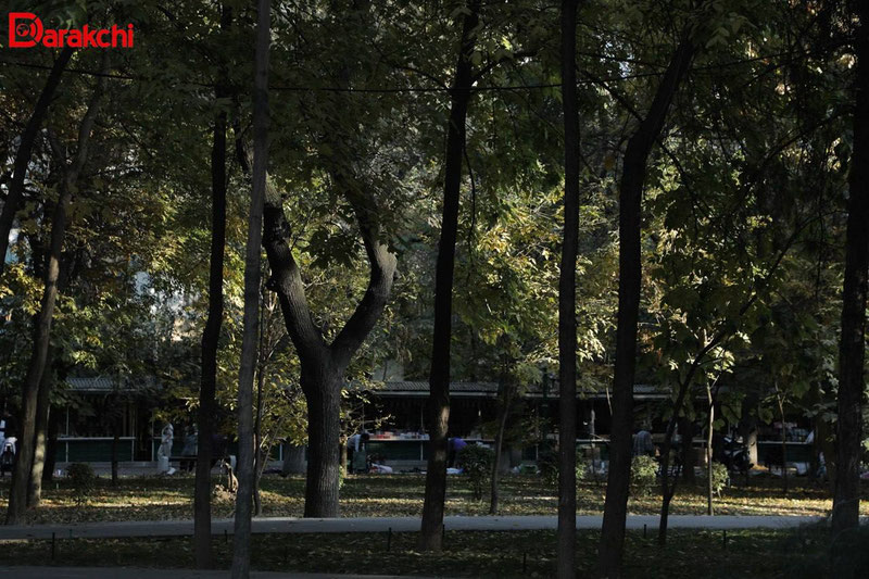 'Бугун ўзбекистонликларни қандай об-ҳаво кутмоқда?'ning rasmi