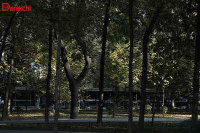 Image of 'What kind of weather awaits Uzbekistanis today?'