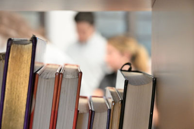 Image of 'The procedure for creating a series of creative works on the basis of a state order has been established.'