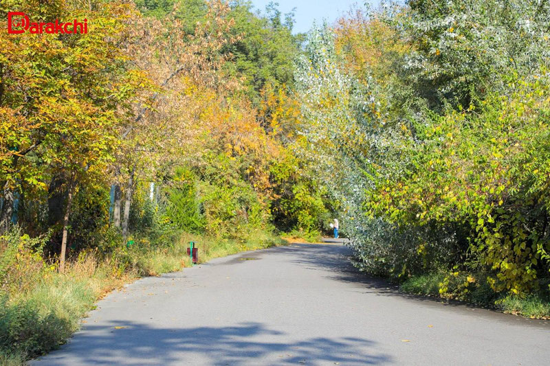 Изрображение 'В Ташкенте сегодня +20'