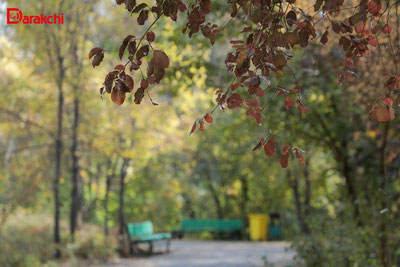 Изрображение 'В Узбекистане очень теплая погода сохранится в ближайшие дни'