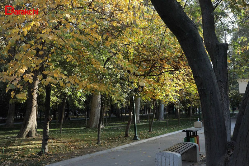 'Bugun havo harorati 24 darajagacha ko‘tariladi'ning rasmi