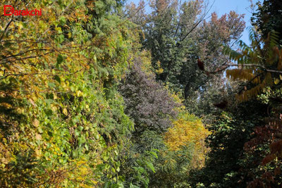 Изрображение 'В Ташкенте сегодня до +21'