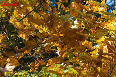 Изрображение 'Какая погода ждет узбекистанцев на новой рабочей неделе?'