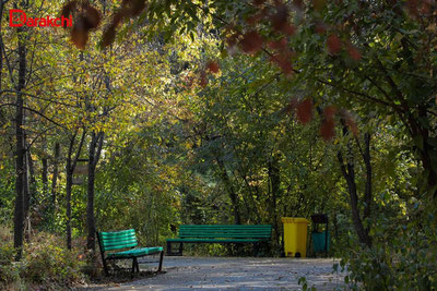 Изрображение 'Акция по очистке Ботанического сада пройдет сегодня в Ташкенте'