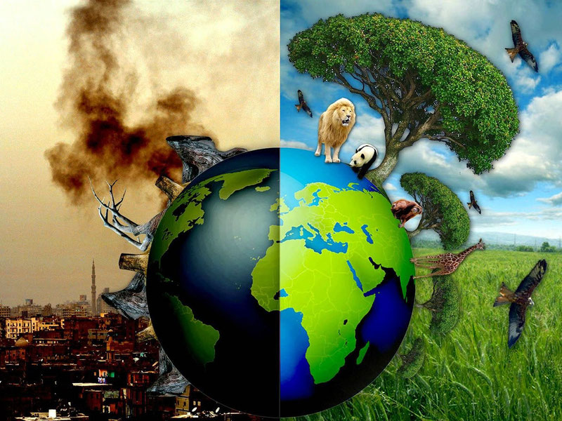 'Экология энди иккинчи даражали масала эмас'ning rasmi